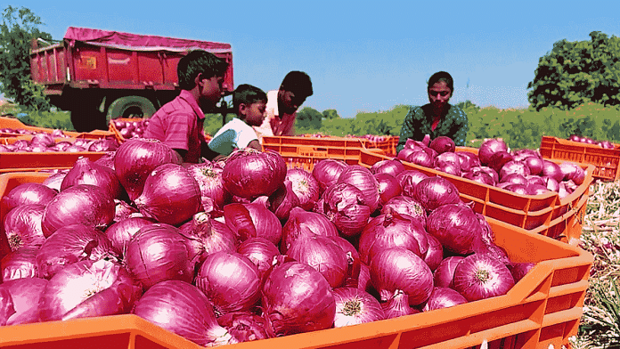 Representational image of onions | ANI