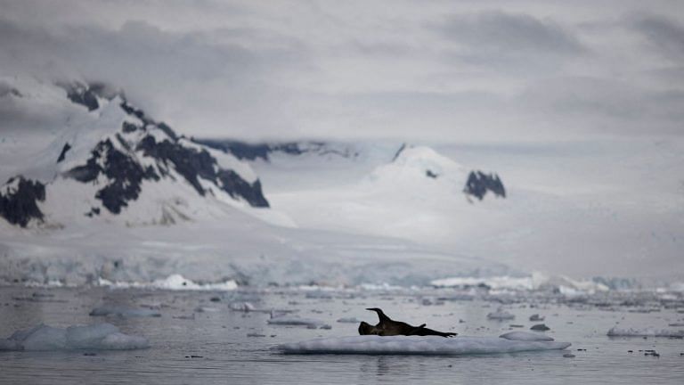 Extreme events in Antarctic to be more common due to global warming, says new research