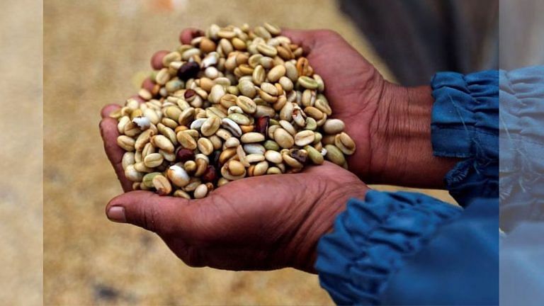 El Nino posing risk for Indonesian coffee, global prices hit all-time high