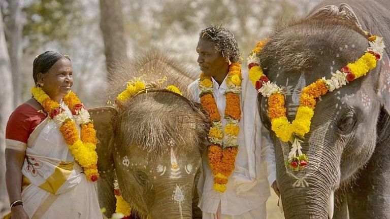 Elephant Whisperers’ fight shows Indian documentaries need better contracts, IP regulations