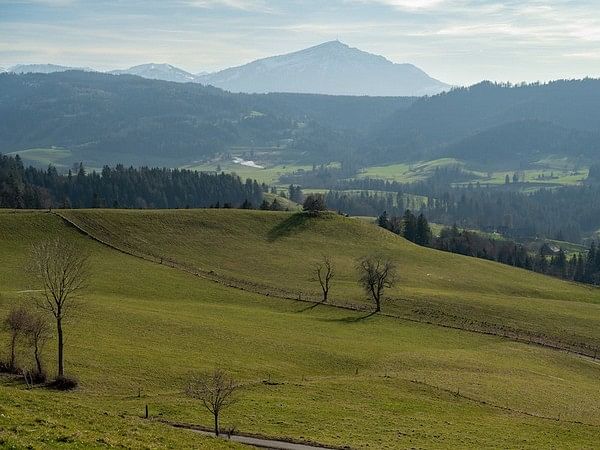 Study highlights significance of grasses in preventing climate change