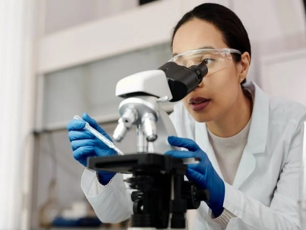 Unhealthy snacks raise risk of strokes and cardiovascular disease: Study 