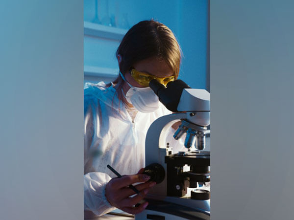 How do harmful proteins accumulate in Alzheimer's and other diseases?