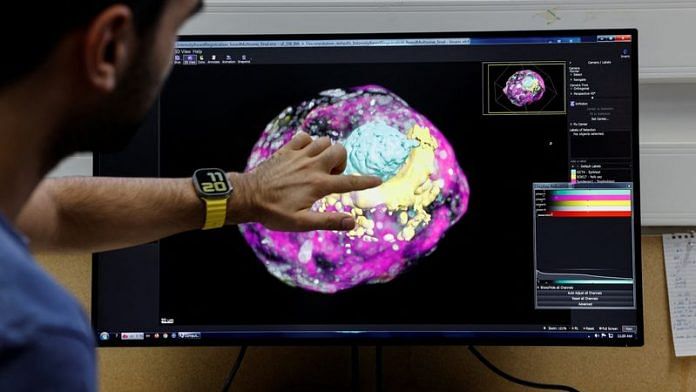 PhD student, Mehmet Yunus Comar, looks at a model of an early-stage human embryo in a laboratory at the Weizmann Institute of Science in Rehovot, Israel | Reuters