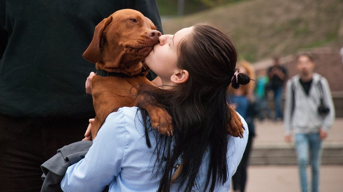 Is it okay to kiss your pet? Risk of animal-borne diseases is small, but real