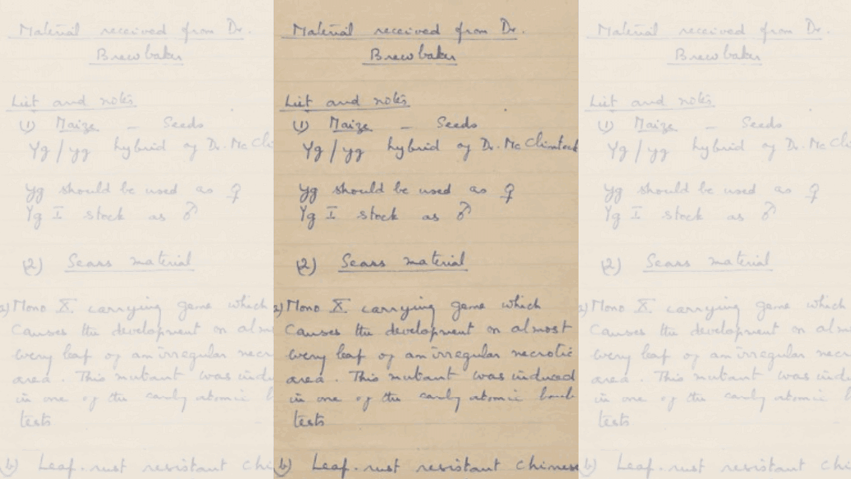 A page from MS Swaminathan’s 1960 Lab notebook at IARI. The entry describes seeds that the lab received from James L Brewbaker | Credit: Laboratory Notebook, Indian Agricultural Research Institute, 1960 (MS-007-1-1-1-1) | From Archives at NCBS