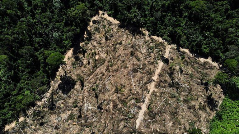 Brazil’s Amazon forest deforestation falls 66% in August, lowest since 2018
