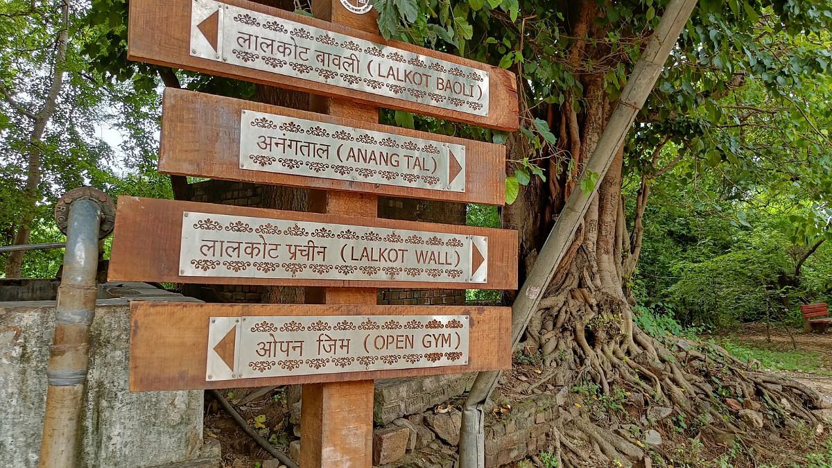 Wooden signage placed in the Sanjay Van showing the direction to Anang Tal | Photo: Krishan Murari/ThePrint