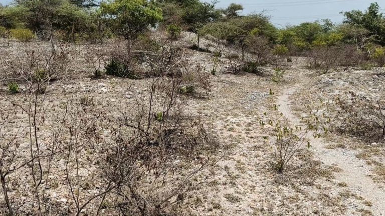 A Tamil Nadu village and its precious soil put Chandrayaan-3 on moon. Now, farmers are scared