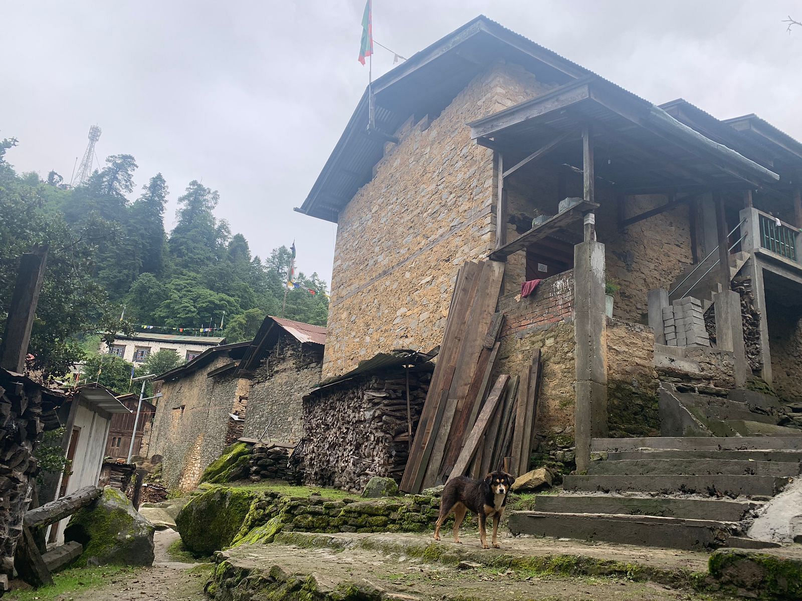 Houses in Lumpo village, Zemithang circle | Karishma Hasnat, ThePrint