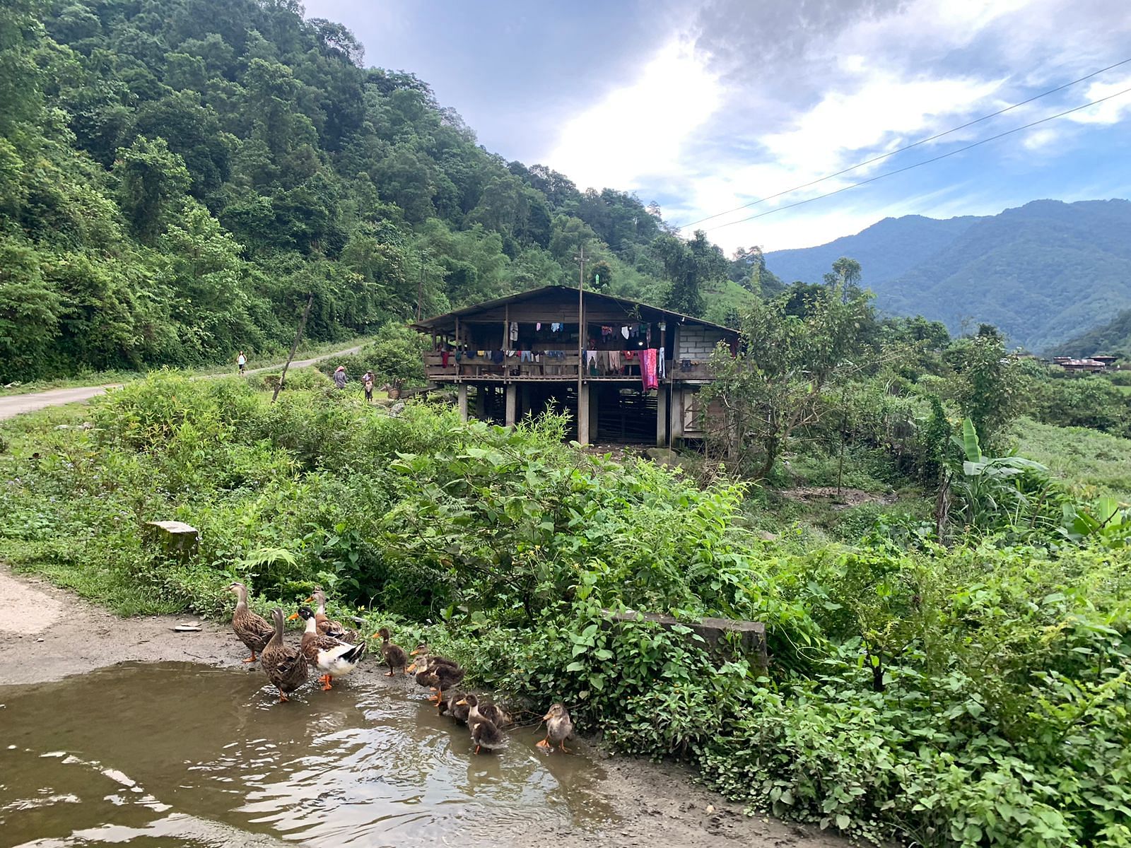 Jayang Bagang, a nominated Vibrant Village in Chayang Tajo sub division of East Kameng district | Karishma Hasnat, ThePrint