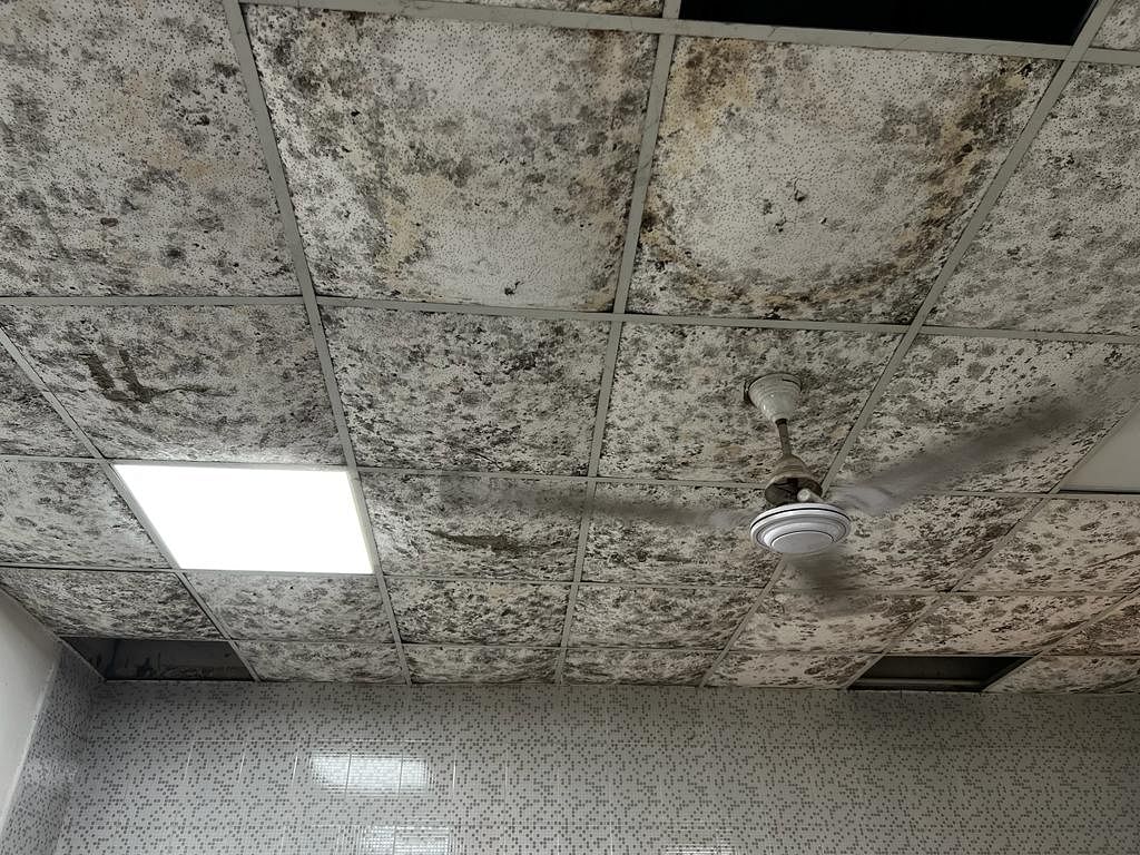 Mould on the ceiling of the reading area at AUD's Kashmere Gate campus | Soniya Agrawal | ThePrint