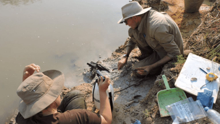 Interlocking logs from 476,000 years ago found in Zamibia 100,000 yrs older than oldest human fossil