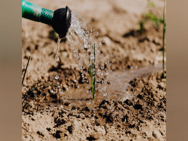 Researchers evaluate biological risk posed by dirt on external surfaces of sea freight