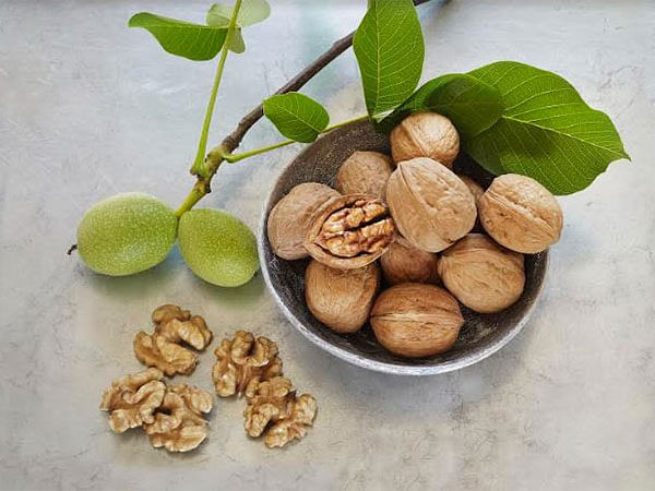 California Walnuts: A Timeless Icon of Taste and Tradition Arrives in India