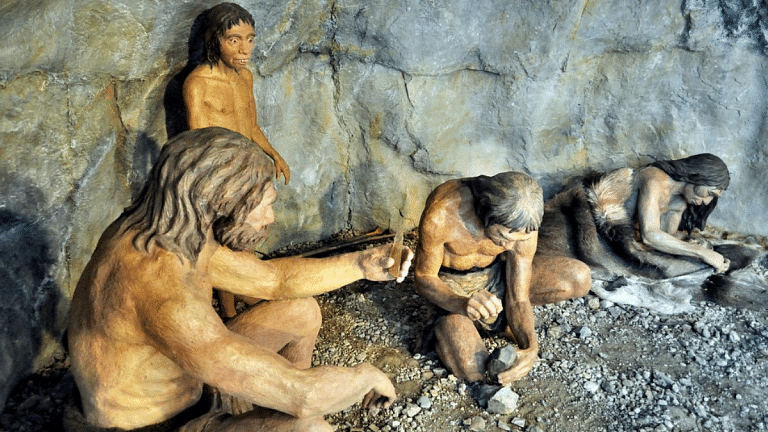 Neanderthals hunted cave lions & used their pelts — new find challenges beliefs about prehistory