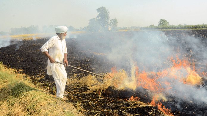 Punjab and Haryana governments are gearing up for the annual challenge of stubble burning | Representational Image | ANI