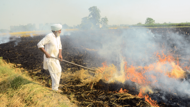 How incentivising farmers to adopt ex-situ solutions could be key to solving Punjab’s stubble problem