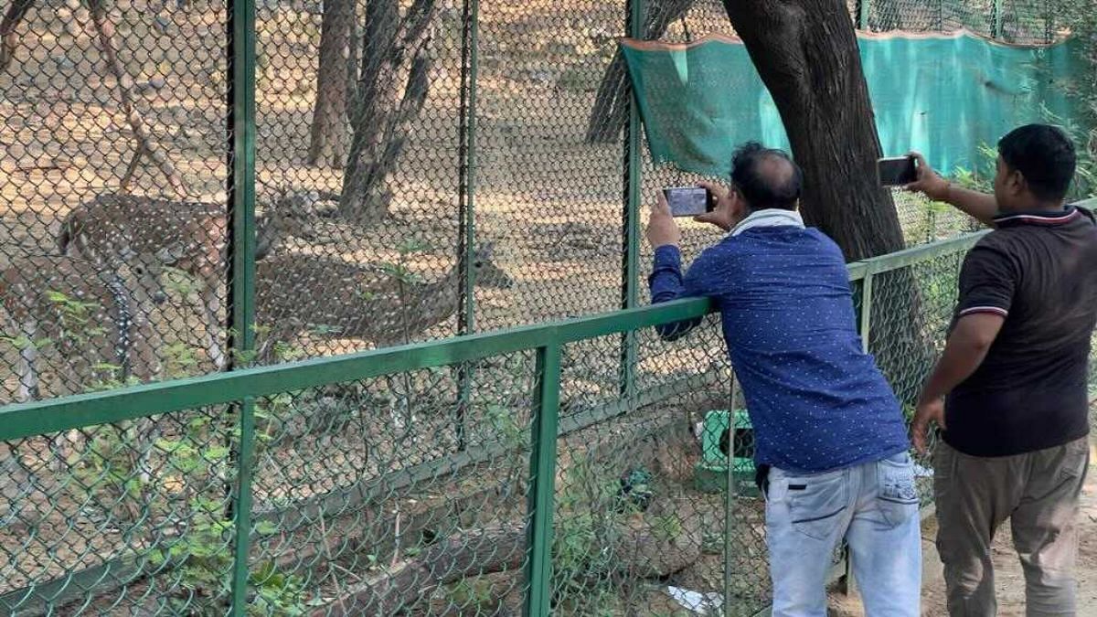Visitors at AN Jha Deer Park taking pictures of the deer through the double-layered fence | By special arrangement