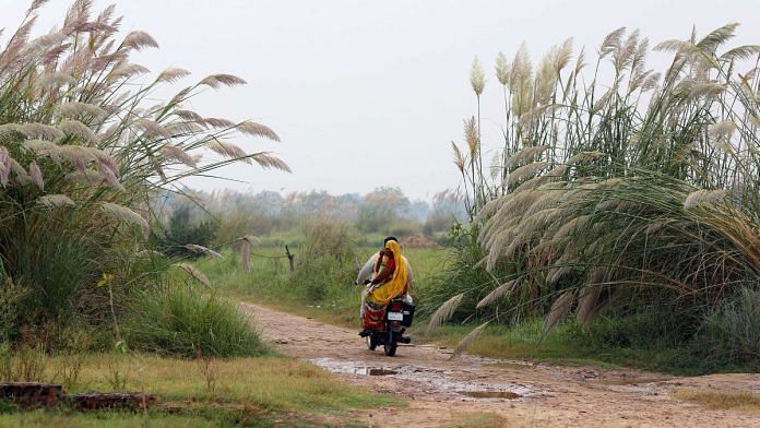 The road leading towards Dhanauri wetlands, with paddy fields on either side | Suraj Singh Bisht | ThePrint