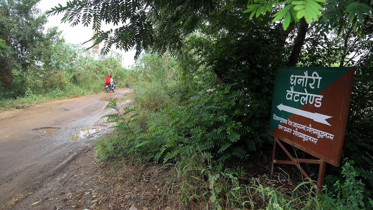 One of the few signs indicating the way to Dhanauri wetlands that haven't been removed by the local farmers | Suraj Singh Bisht | ThePrint