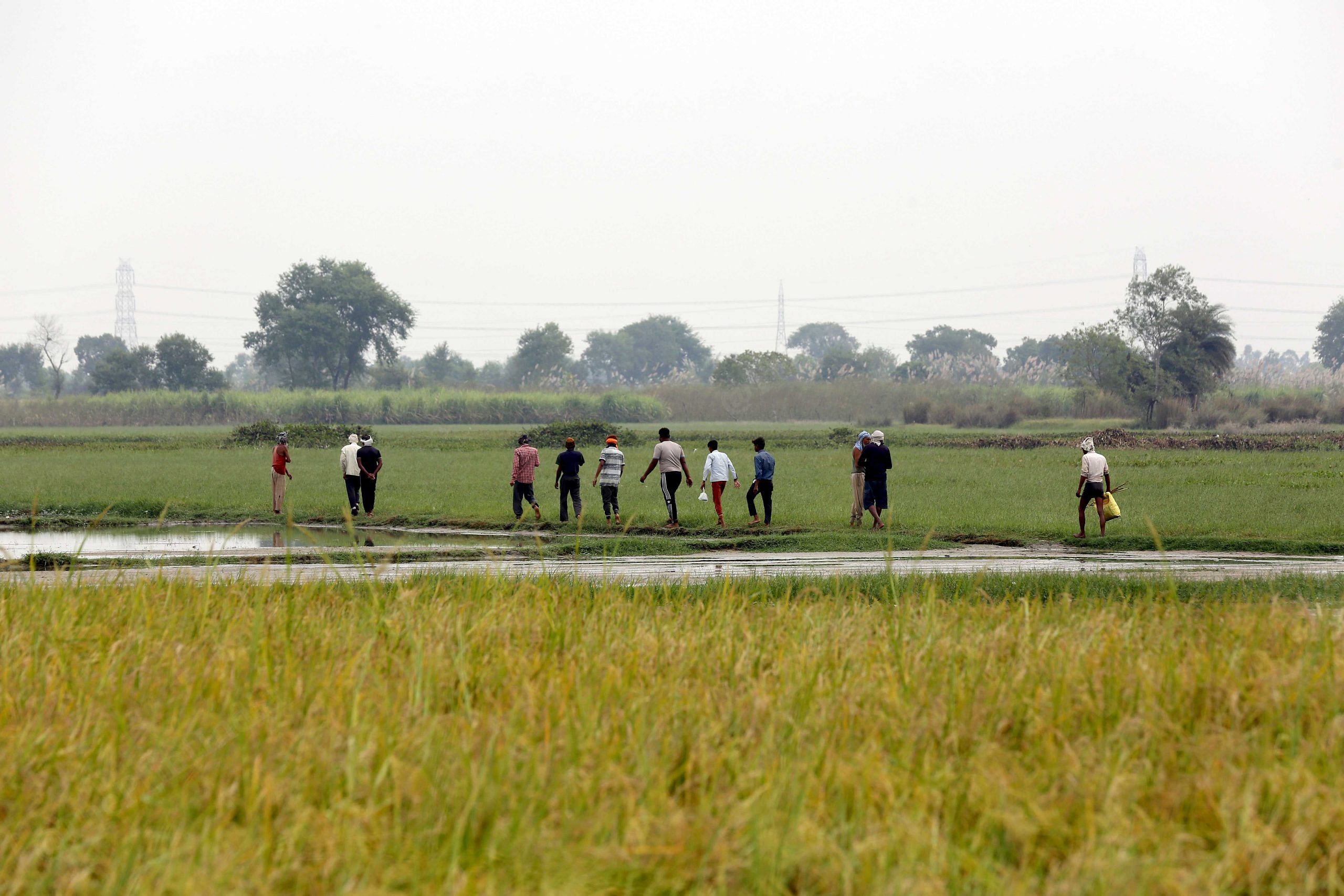 Local farmers heading to their fields that lie within Dhanauri wetlands | Suraj Singh Bisht | ThePrint