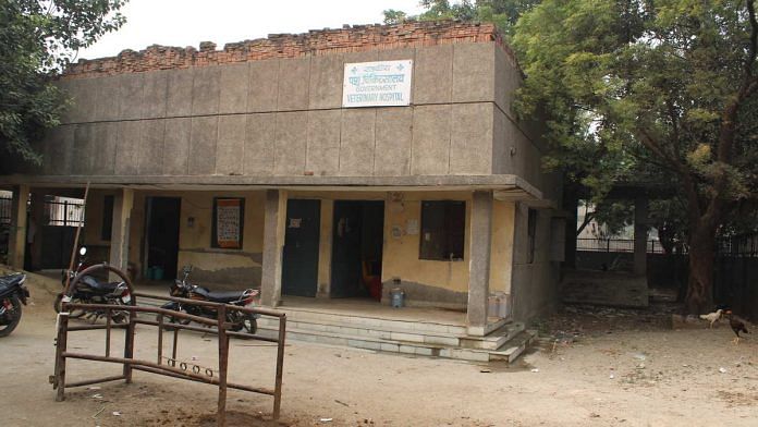 Jharoda vet hospital