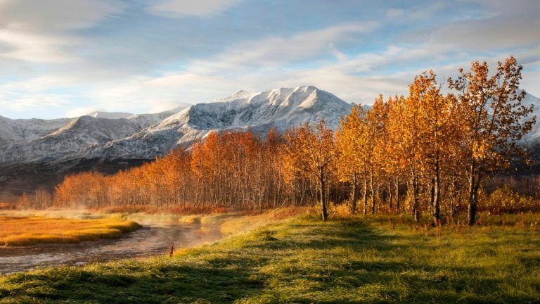 The world is facing its hottest autumn yet. This is how it impacts humans & the climate system