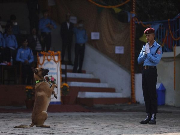 Nepal celebrates fiesta of dogs, Kukur Tihar