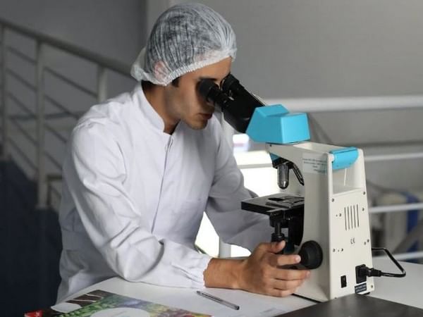 Researchers develop ultrasound patch to measure how full bladder is