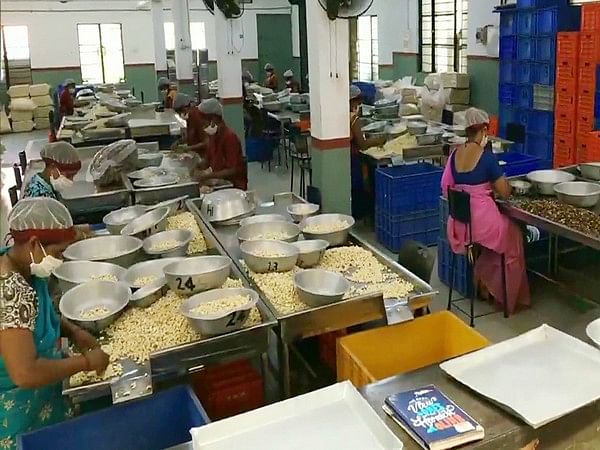 Cashew nuts from India head to markets in Qatar, Malaysia, US, Bangladesh as APEDA drives global exports