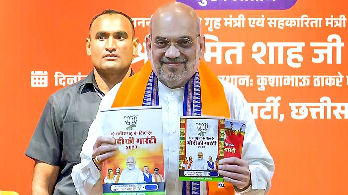 BJP Chhattisgarh manifesto: Rs 3,100/quintal paddy MSP