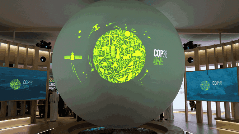 Carbon trading to climate fund negotiations — what to expect from COP28 in Dubai