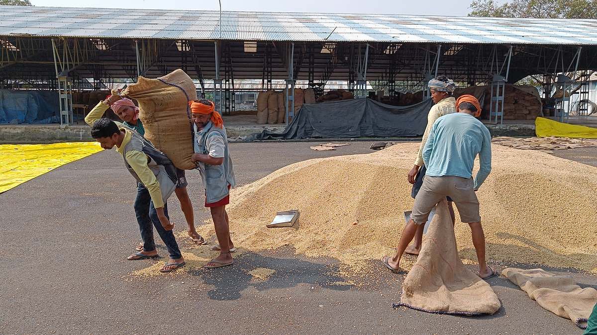 Farmers with their soybean harvest in Bhopal mandi