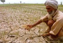 Representation image of a parched field in Punjab | Photo: PTI