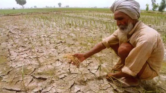 Representation image of a parched field in Punjab | Photo: PTI