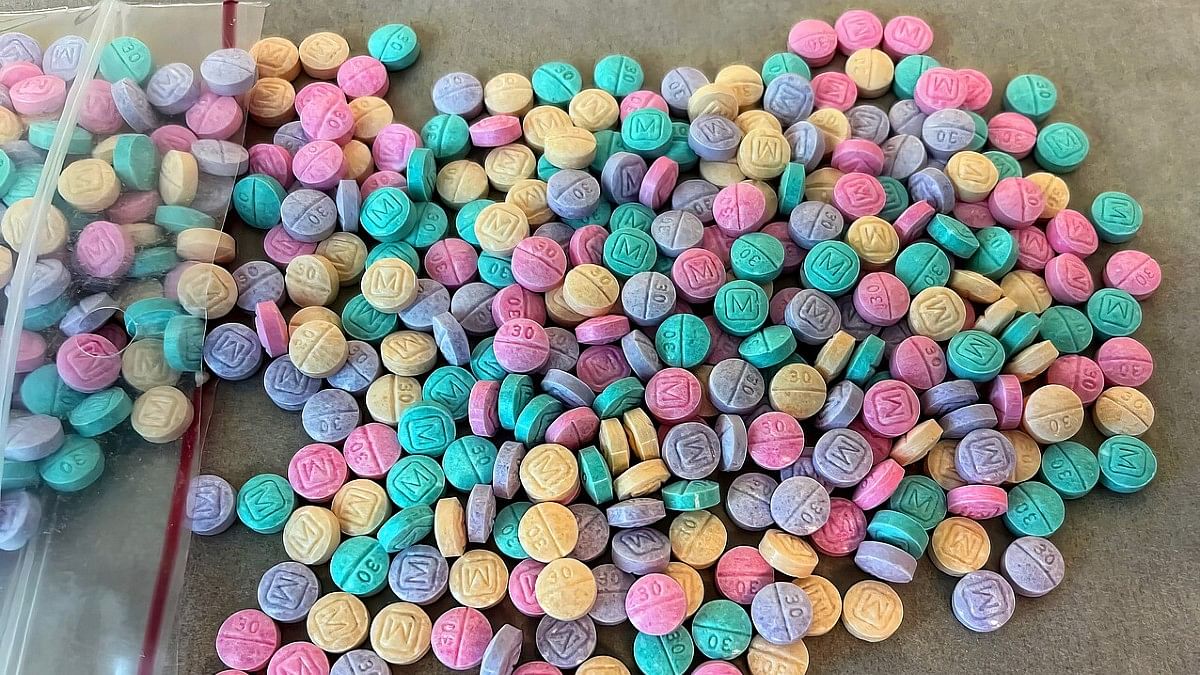 Rainbow fentanyl seized by US DEA | Commons