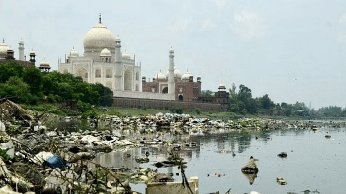 The insect breeds in the polluted water of the Yamuna, on the banks of which the Taj Mahal has been built | Photo: Amir Qureshi/ThePrint