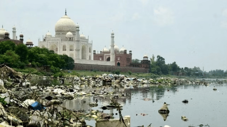 Insect invasion? ASI launches a ‘year-long study’ to prevent Taj Mahal from turning green