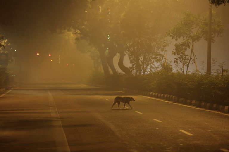 Delhi, Mumbai, Kolkata rank among world’s 10 most polluted cities post-Diwali