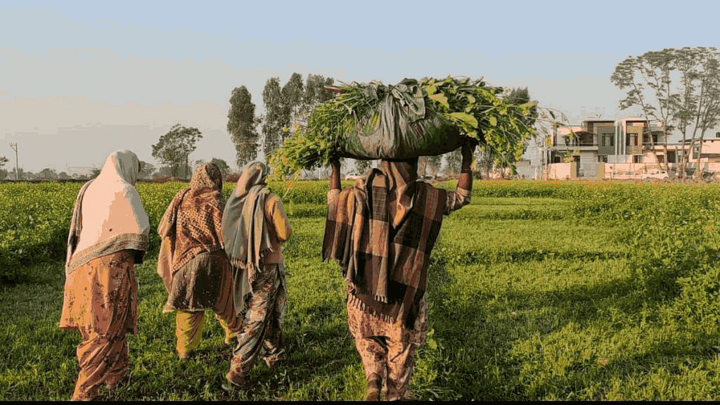 File photo of women farmers in Patiala | Urjita Bhardwaj | ThePrint