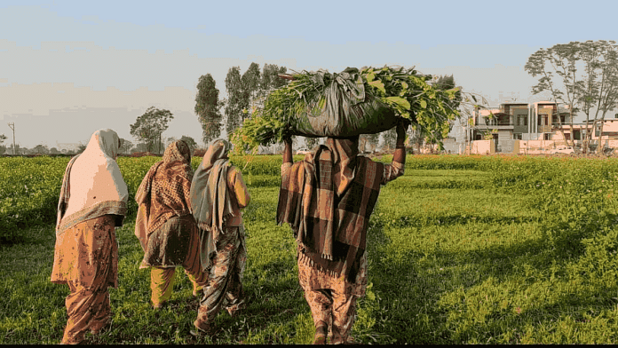File photo of women farmers in Patiala | Urjita Bhardwaj | ThePrint