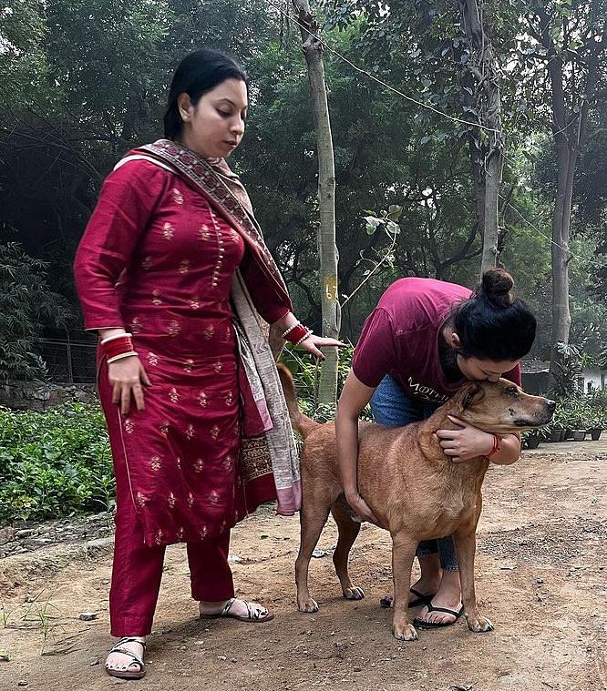 Wagging Tales co-founder Mansi Rautelahugs Tipsy after he was found in Siri Fort | By special arrangement 
