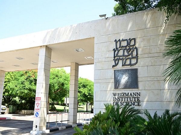 Israeli research opens door to reversing effects of early childhood trauma on brain