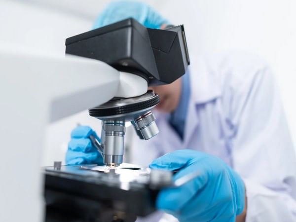 Wearable ultrasound monitors can help with injury rehabilitation: Study 