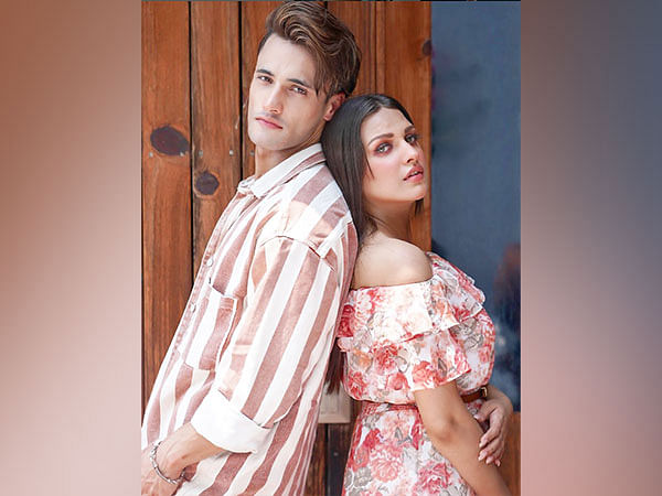 Himanshi Khurana shares personal chat with Asim Riaz post breakup, later deletes X account