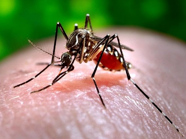 Bangladesh reports nine more deaths from dengue, fatalities reach 1661