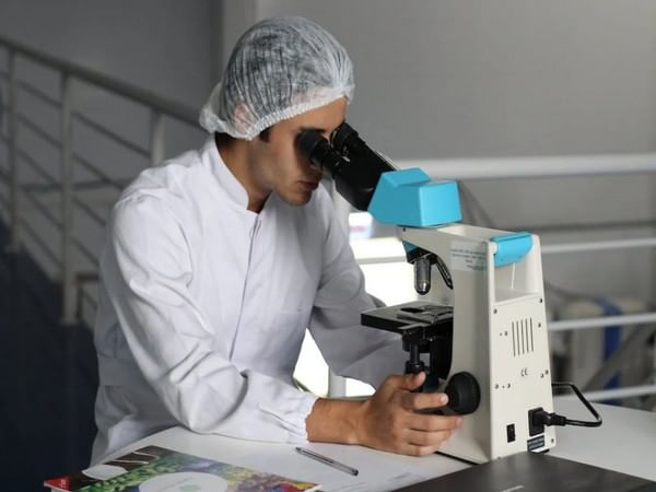 Here is why chemotherapy becomes less effective, finds study 