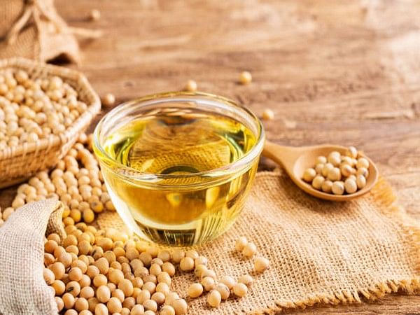 Argentina and Brazil's soybean surge: India eyes increased soybean oil supply amid global shifts
