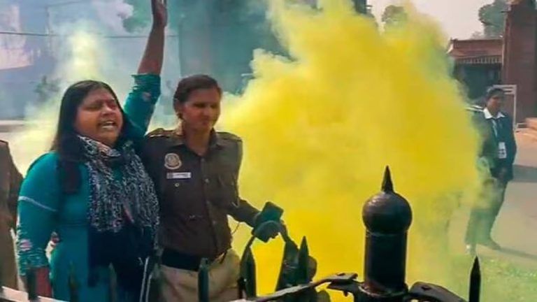 Parliament breach accused Neelam ‘teaches self-defence, set up library, protested over unemployment’